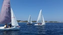 0_4983433_375079.jpg